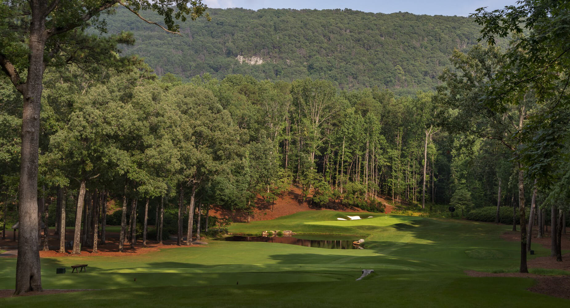 shoal creek club