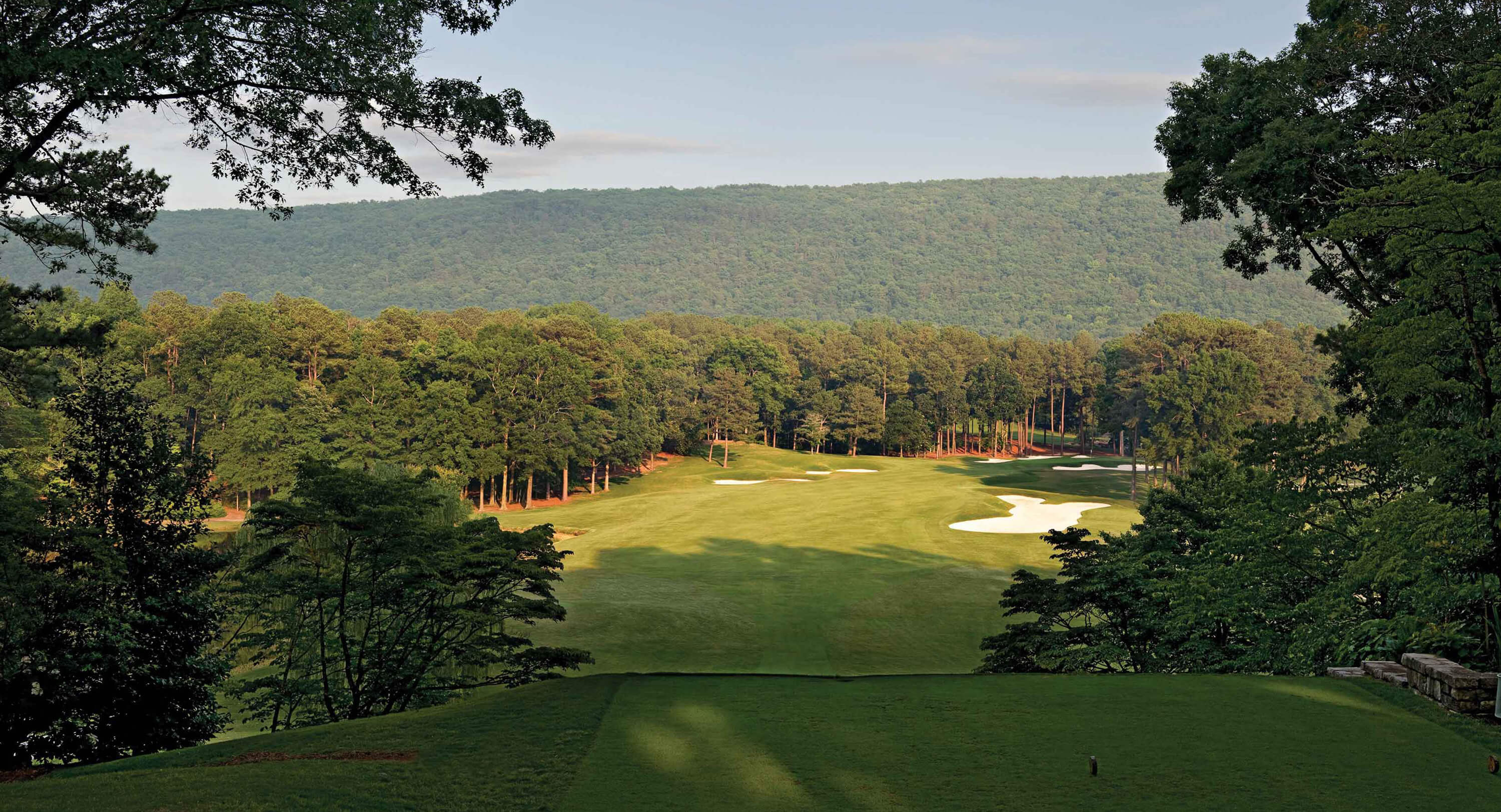 shoal creek club